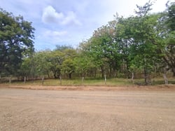 front road
