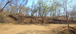 Lote Privado con Vista a la Montaña y Árboles Nativos en Marbella