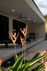 Modern Coastal Home. Fully Equipped & Beach Nearby