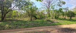 9,621 m² Lot – Walk to Marbella Beach