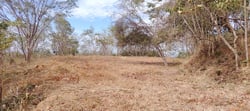 Panoramic Ocean View Farm of 2,4 Hecatreas just 10 minutes to Marbella Beach 