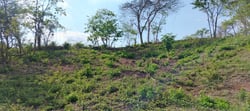 9,621 m² Lot – Walk to Marbella Beach