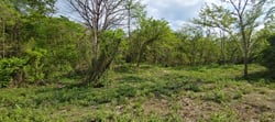 9,621 m² Lot – Walk to Marbella Beach