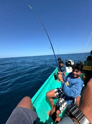 Inshore Fishing Tour