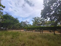 Flat 4,025 m² Mixed-Use Lot – Walk to Marbella Beach