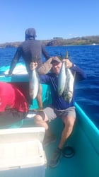 Inshore Fishing Tour