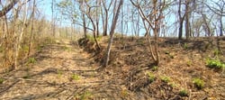 Lote Privado con Vista a la Montaña y Árboles Nativos en Marbella
