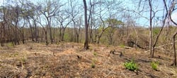Lote Privado con Vista a la Montaña y Árboles Nativos en Marbella