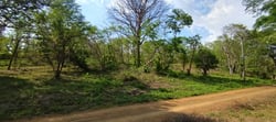 9,621 m² Lot – Walk to Marbella Beach